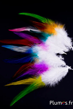 Coq - 11-15 cm - blanc-multicolore